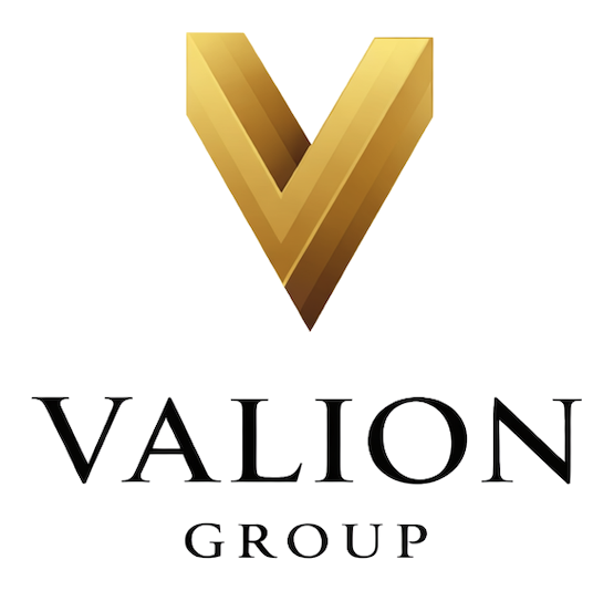 Valion Consulting Group